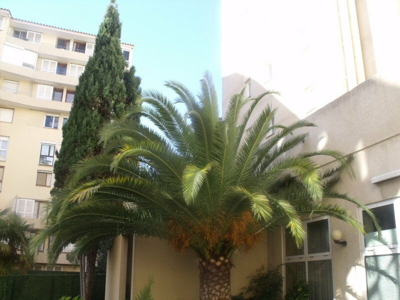 Ibis Styles Perpignan Centre Gare Hotel Exterior photo